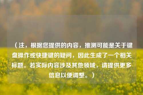 （注，根据您提供的内容，推测可能是关于键盘操作或快捷键的疑问，因此生成了一个相关标题。若实际内容涉及其他领域，请提供更多信息以便调整。）