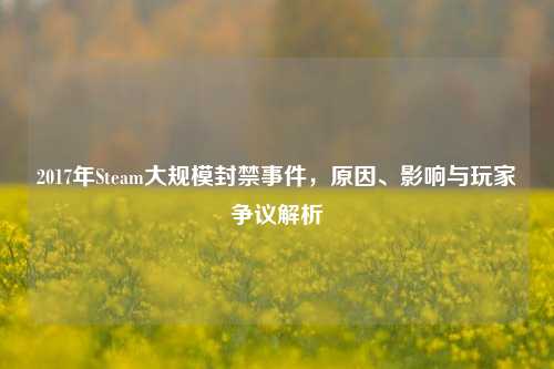 2017年Steam大规模封禁事件，原因、影响与玩家争议解析