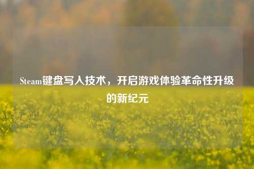 Steam键盘写入技术，开启游戏体验革命性升级的新纪元