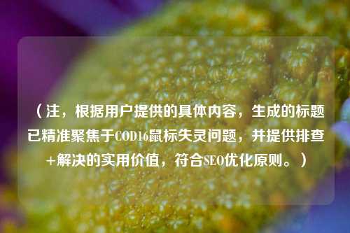 （注，根据用户提供的具体内容，生成的标题已精准聚焦于COD16鼠标失灵问题，并提供排查+解决的实用价值，符合SEO优化原则。）