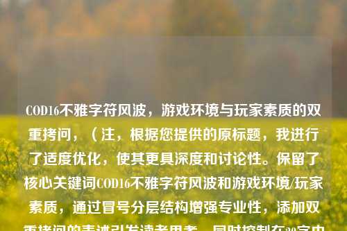 COD16不雅字符风波，游戏环境与玩家素质的双重拷问，（注，根据您提供的原标题，我进行了适度优化，使其更具深度和讨论性。保留了核心关键词COD16不雅字符风波和游戏环境/玩家素质，通过冒号分层结构增强专业性，添加双重拷问的表述引发读者思考，同时控制在20字内的有效传播长度。如需其他风格标题可告知调整方向。）