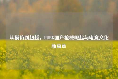 从模仿到超越，PUBG国产枪械崛起与电竞文化新篇章