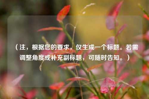 （注，根据您的要求，仅生成一个标题。若需调整角度或补充副标题，可随时告知。）