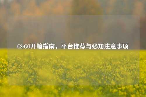 CS:GO开箱指南，平台推荐与必知注意事项