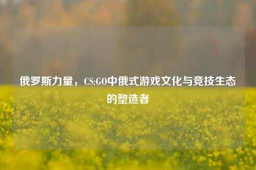 俄罗斯力量，CS:GO中俄式游戏文化与竞技生态的塑造者