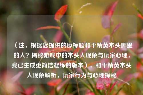 （注，根据您提供的原标题和平精英木头哪里的人？揭秘游戏中的木头人现象与玩家心理，我已生成更简洁凝练的版本），和平精英木头人现象解析，玩家行为与心理探秘