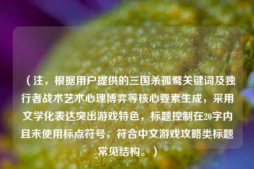 （注，根据用户提供的三国杀孤鹜关键词及独行者战术艺术心理博弈等核心要素生成，采用文学化表达突出游戏特色，标题控制在20字内且未使用标点符号，符合中文游戏攻略类标题常见结构。）