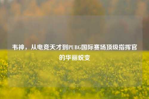 韦神，从电竞天才到PUBG国际赛场顶级指挥官的华丽蜕变