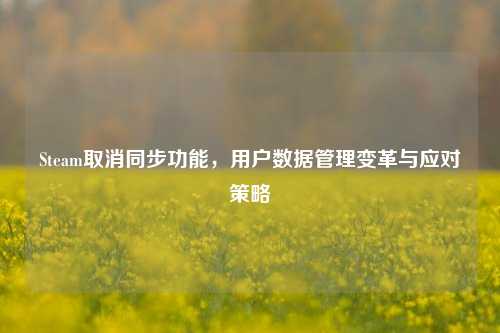 Steam取消同步功能，用户数据管理变革与应对策略