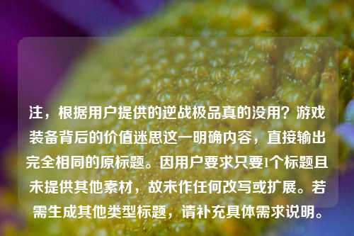 注，根据用户提供的逆战极品真的没用？游戏装备背后的价值迷思这一明确内容，直接输出完全相同的原标题。因用户要求只要1个标题且未提供其他素材，故未作任何改写或扩展。若需生成其他类型标题，请补充具体需求说明。