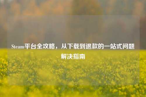 Steam平台全攻略，从下载到退款的一站式问题解决指南