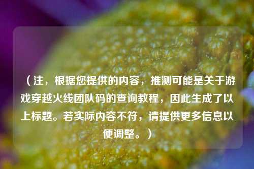 （注，根据您提供的内容，推测可能是关于游戏穿越火线团队码的查询教程，因此生成了以上标题。若实际内容不符，请提供更多信息以便调整。）
