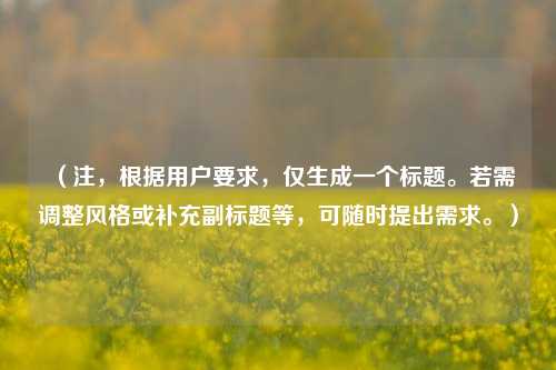 （注，根据用户要求，仅生成一个标题。若需调整风格或补充副标题等，可随时提出需求。）
