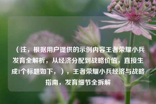 （注，根据用户提供的示例内容王者荣耀小兵发育全解析，从经济分配到战略价值，直接生成1个标题如下，），王者荣耀小兵经济与战略指南，发育细节全拆解