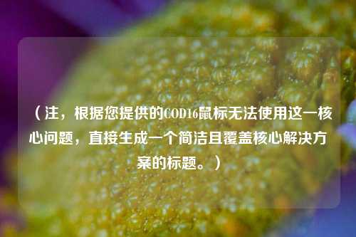 （注，根据您提供的COD16鼠标无法使用这一核心问题，直接生成一个简洁且覆盖核心解决方案的标题。）