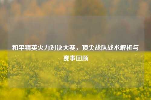 和平精英火力对决大赛，顶尖战队战术解析与赛事回顾