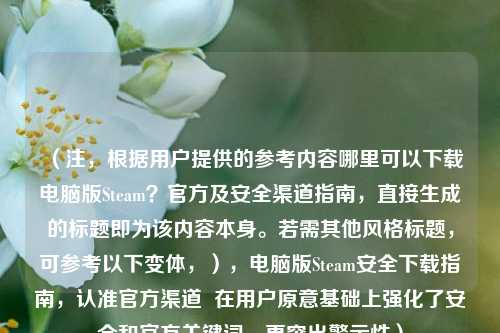 （注，根据用户提供的参考内容哪里可以下载电脑版Steam？官方及安全渠道指南，直接生成的标题即为该内容本身。若需其他风格标题，可参考以下变体，），电脑版Steam安全下载指南，认准官方渠道  在用户原意基础上强化了安全和官方关键词，更突出警示性）