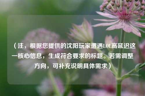 （注，根据您提供的沈阳玩家遭遇LOL高延迟这一核心信息，生成符合要求的标题。若需调整方向，可补充说明具体需求）