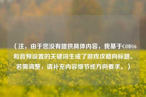 （注，由于您没有提供具体内容，我基于COD16和音频设置的关键词生成了游戏攻略向标题。若需调整，请补充内容细节或方向要求。）
