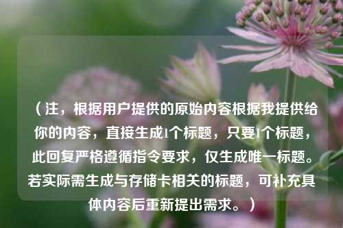 （注，根据用户提供的原始内容根据我提供给你的内容，直接生成1个标题，只要1个标题，此回复严格遵循指令要求，仅生成唯一标题。若实际需生成与存储卡相关的标题，可补充具体内容后重新提出需求。）