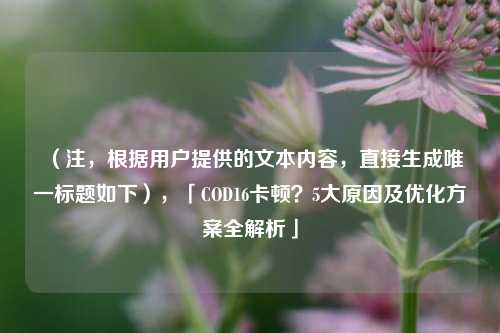 （注，根据用户提供的文本内容，直接生成唯一标题如下），「COD16卡顿？5大原因及优化方案全解析」