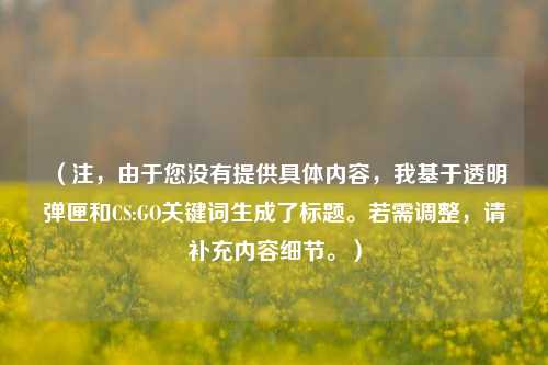 （注，由于您没有提供具体内容，我基于透明弹匣和CS:GO关键词生成了标题。若需调整，请补充内容细节。）