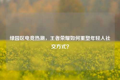 绿园区电竞热潮，王者荣耀如何重塑年轻人社交方式？