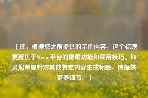 （注，根据您之前提供的示例内容，这个标题更聚焦于Steam平台的隐藏功能和实用技巧。如果您希望针对其他特定内容生成标题，请提供更多细节。）