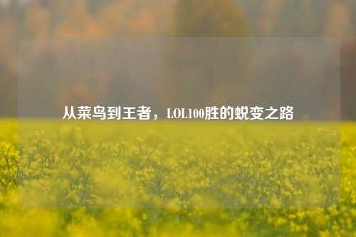 从菜鸟到王者，LOL100胜的蜕变之路