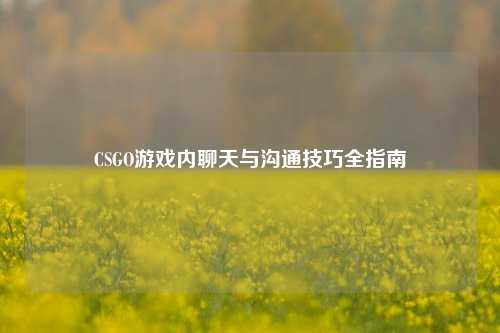 CSGO游戏内聊天与沟通技巧全指南