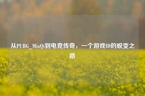 从PUBG_MinQi到电竞传奇，一个游戏ID的蜕变之路