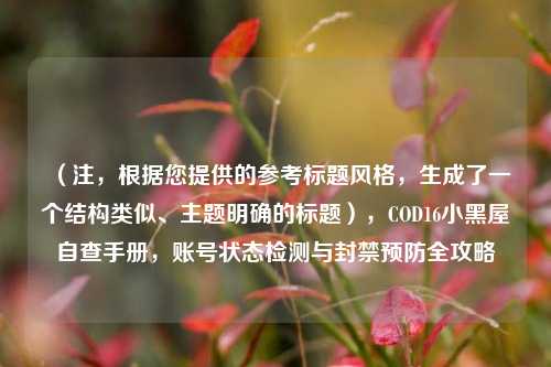 （注，根据您提供的参考标题风格，生成了一个结构类似、主题明确的标题），COD16小黑屋自查手册，账号状态检测与封禁预防全攻略