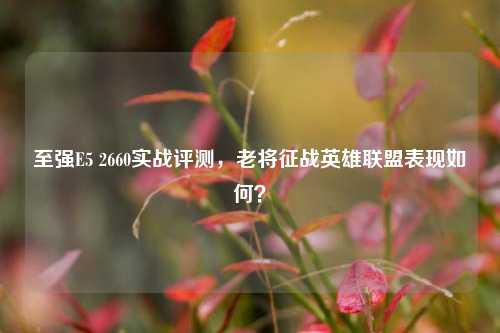 至强E5 2660实战评测，老将征战英雄联盟表现如何？