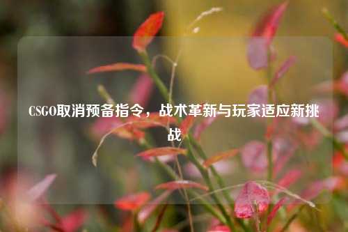 CSGO取消预备指令，战术革新与玩家适应新挑战