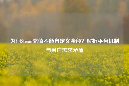 为何Steam充值不能自定义金额？解析平台机制与用户需求矛盾