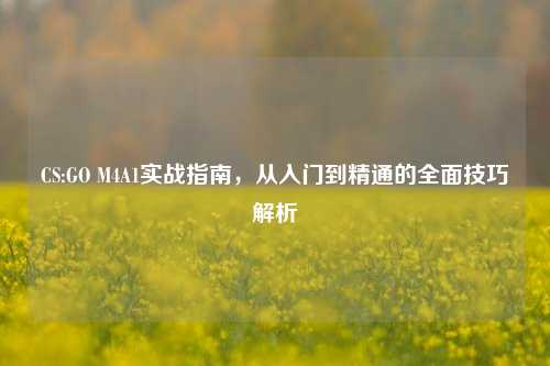 CS:GO M4A1实战指南，从入门到精通的全面技巧解析