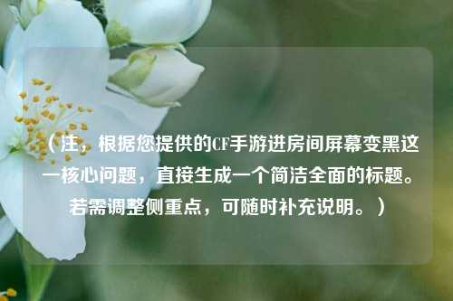 （注，根据您提供的CF手游进房间屏幕变黑这一核心问题，直接生成一个简洁全面的标题。若需调整侧重点，可随时补充说明。）