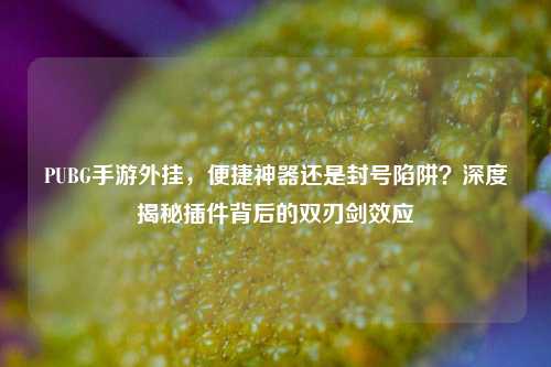 PUBG手游外挂，便捷神器还是封号陷阱？深度揭秘插件背后的双刃剑效应