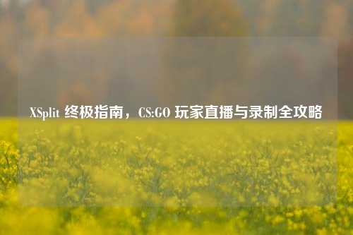 XSplit 终极指南，CS:GO 玩家直播与录制全攻略