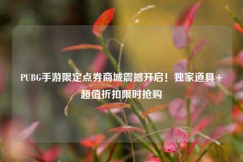 PUBG手游限定点券商城震撼开启！独家道具+超值折扣限时抢购