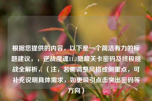 根据您提供的内容，以下是一个简洁有力的标题建议，，逆战魔魂11.1隐藏关卡密码及终极挑战全解析，（注，若需调整风格或侧重点，可补充说明具体需求，如更吸引点击突出密码等方向）