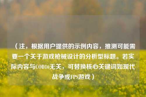 （注，根据用户提供的示例内容，推测可能需要一个关于游戏枪械设计的分析型标题。若实际内容与COD16无关，可替换核心关键词如现代战争或FPS游戏）