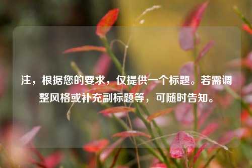 注，根据您的要求，仅提供一个标题。若需调整风格或补充副标题等，可随时告知。