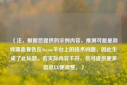 （注，根据您提供的示例内容，推测可能是游戏喋血复仇在Steam平台上的技术问题，因此生成了此标题。若实际内容不符，您可提供更多信息以便调整。）