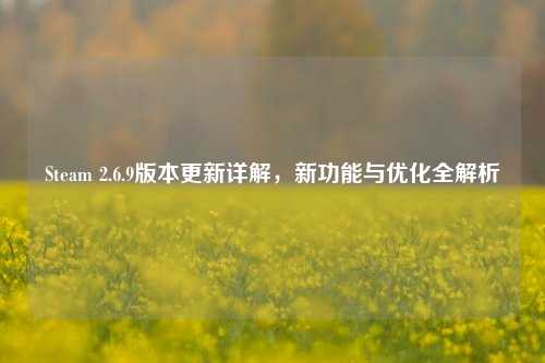Steam 2.6.9版本更新详解，新功能与优化全解析