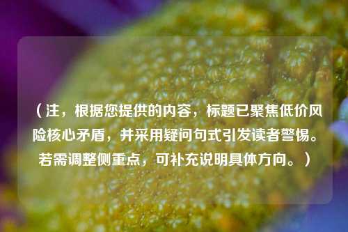 （注，根据您提供的内容，标题已聚焦低价风险核心矛盾，并采用疑问句式引发读者警惕。若需调整侧重点，可补充说明具体方向。）