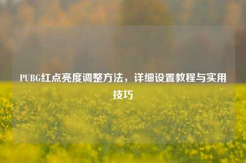 PUBG红点亮度调整 *** ，详细设置教程与实用技巧