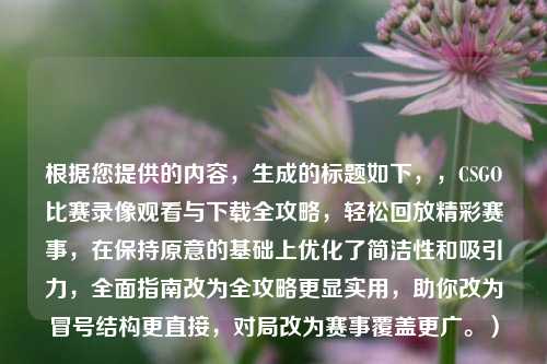 根据您提供的内容，生成的标题如下，，CSGO比赛录像观看与下载全攻略，轻松回放精彩赛事，在保持原意的基础上优化了简洁性和吸引力，全面指南改为全攻略更显实用，助你改为冒号结构更直接，对局改为赛事覆盖更广。）