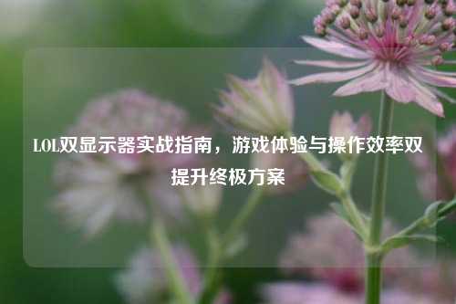 LOL双显示器实战指南，游戏体验与操作效率双提升终极方案
