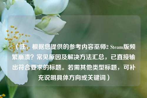 （注，根据您提供的参考内容巫师2 Steam版频繁崩溃？常见原因及解决 *** 汇总，已直接输出符合要求的标题。若需其他类型标题，可补充说明具体方向或关键词）